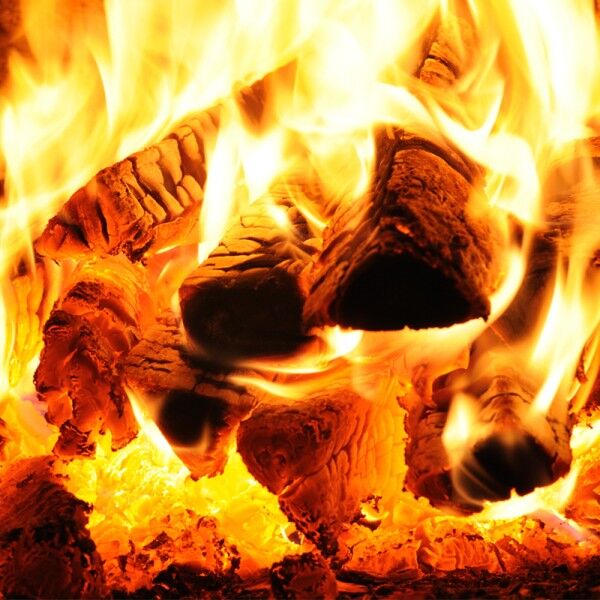 Шпорет на дрва ALFA PLAM 90 FAVORIT десен - Image 3